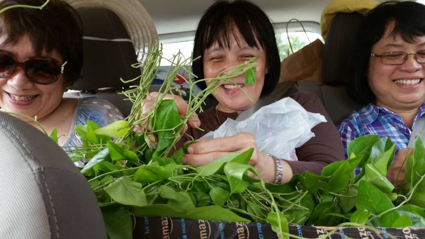 12088500_10154657641208521_5070908501390446087_n