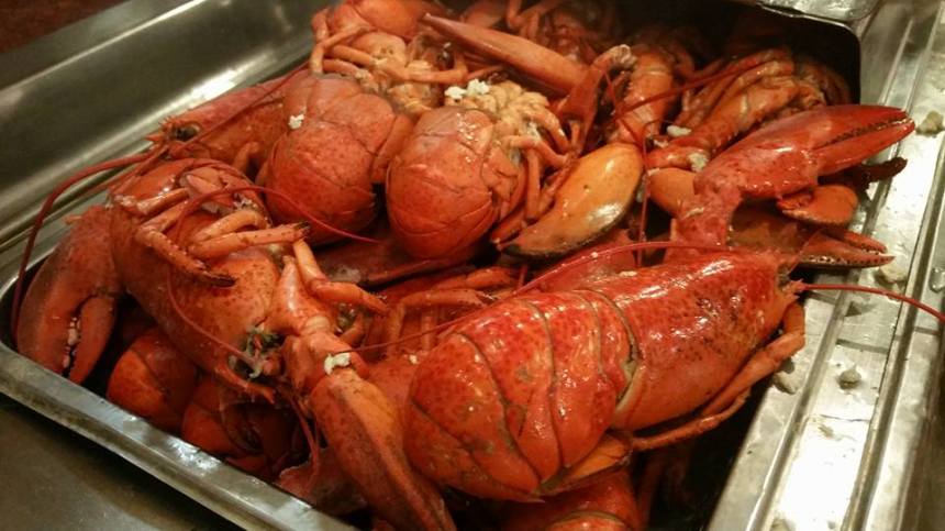 12115934_10154659959333521_8277798146776685593_n