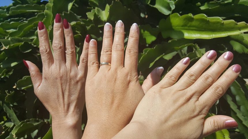 13707669_10155241438858521_7308140909568366425_n